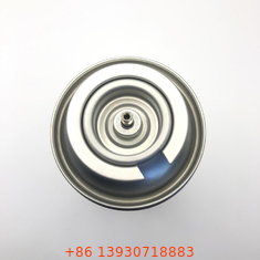 227g বুটান গ্যাস ক্যানস্টার পেশাদার অ্যাপ্লিকেশনের জন্য আদর্শ