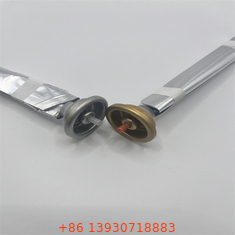 ফার্মাসিউটিক্যাল এবং নিউট্রাসিউটিক্যাল পণ্যগুলির জন্য ব্যতিক্রমী বাধা সুরক্ষা সহ উদ্ভাবনী এবং টেকসই ব্যাগ-অন-ভালভ অ্যারোসল সিস্টেম