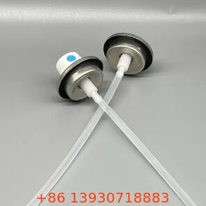 রঙ-সমন্বিত প্রাক-লেপযুক্ত মহিলা পেইন্ট স্প্রে ভালভ এবং অ্যাক্টিভেশন সেট এয়ারোসোল অ্যাপ্লিকেশনগুলির জন্য ইনস্টল করার জন্য প্রস্তুত