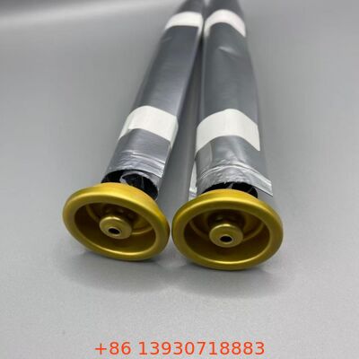 লোশন এবং স্যানিটারি স্প্রে এবং ব্যক্তিগত যত্নের জন্য ভালভের উপর মহিলা অ্যারোসল ব্যাগ