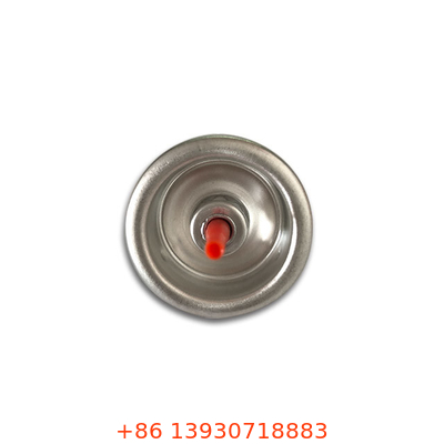 স্টেইনলেস স্টীল স্প্রিং সহ কাস্টমাইজড গ্যাস লাইটার রিফিল ভালভ এক ইঞ্চি অ্যাডাপ্টার