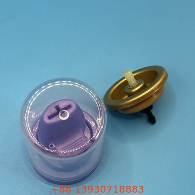 সব প্রাকৃতিক চুল Mousse স্প্রে ভালভ স্বাস্থ্যকর এবং আড়ম্বরপূর্ণ চুলের জন্য জৈব উপাদান