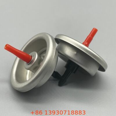 যথার্থ বুটান রিফিল অ্যাডাপ্টার ভালভ