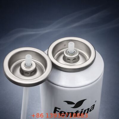 দীর্ঘস্থায়ী ডিওডোরেন্ট বডি স্প্রে ভালভ – নিষ্ঠুরতা-মুক্ত, মসৃণ বিতরণ এবং টেকসই কর্মক্ষমতা (৫৩মিমি)