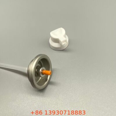 শুকনো শ্যাম্পু অ্যারোসল স্প্রে ভালভ পাউডার এবং মিস্ট হেয়ার রিফ্রেশ পণ্যের জন্য ডিজাইন করা হয়েছে