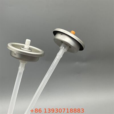 কার্বুরেটর এবং ইঞ্জিন রক্ষণাবেক্ষণের জন্য ভারী-ডুয়িং মাল্টি-ফাংশন ক্লিনার ভালভ