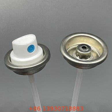 রঙের সাথে মিলে যাওয়া লেপযুক্ত মহিলা পেইন্ট স্প্রে ভালভ এবং অ্যাকুয়েটর সেট ফেইড এবং স্ক্র্যাচ প্রতিরোধের সাথে ইনস্টল করার জন্য প্রস্তুত