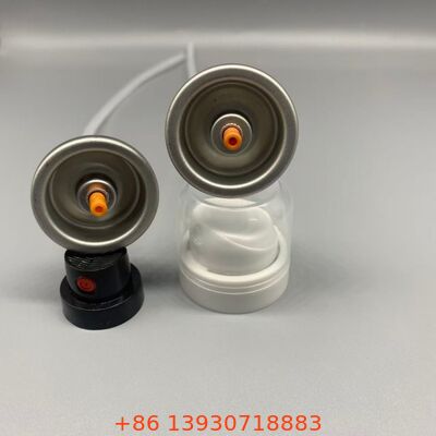 অদৃশ্য কভারেজ এবং ধোয়ার মধ্যে তাজা চুলের জন্য শুকনো শ্যাম্পু অ্যারোসল ভালভ