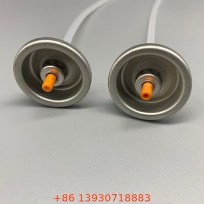 রুট লিফটিং এবং ম্যাট ফিনিশ অ্যাপ্লিকেশনের জন্য অ্যারোসল ড্রাই শ্যাম্পু ভালভ