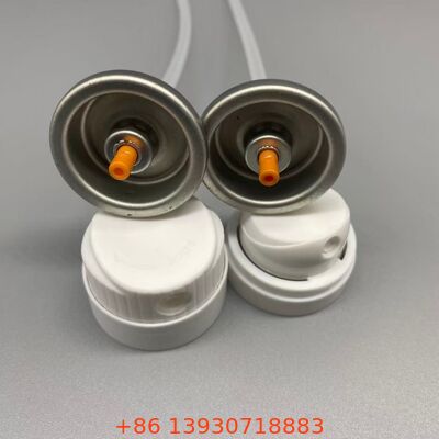 তাত্ক্ষণিক ভলিউম পুনরুদ্ধার এবং তেল শোষণের জন্য শুকনো শ্যাম্পু অ্যারোসল ভালভ