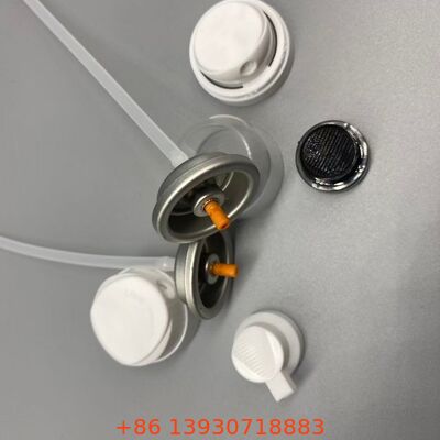 তাত্ক্ষণিক ভলিউম পুনরুদ্ধার এবং তেল শোষণের জন্য শুকনো শ্যাম্পু অ্যারোসল ভালভ