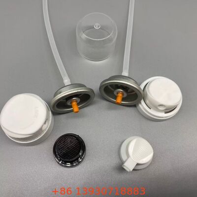 অদৃশ্য কভারেজ এবং ধোয়ার মধ্যে তাজা চুলের জন্য শুকনো শ্যাম্পু অ্যারোসল ভালভ