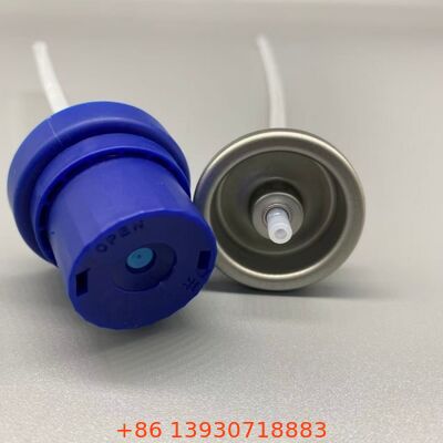 অ্যান্টিব্যাকটেরিয়াল ডিওডোরেন্ট ভালভ মাইক্রোব কন্ট্রোল গন্ধ প্রতিরোধ এবং এয়ারোসোল সূত্র জন্য জীবাণু প্রতিরোধী বৈশিষ্ট্য সঙ্গে