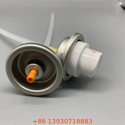 কার্পেট এবং সিট কেয়ারের জন্য হেভি ডিউটি ফোম ক্লিনার ভালভ উইথ ক্লিনিং ব্রাশ ক্যাপ