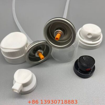 অদৃশ্য কভারেজ এবং ধোয়ার মধ্যে তাজা চুলের জন্য শুকনো শ্যাম্পু অ্যারোসল ভালভ